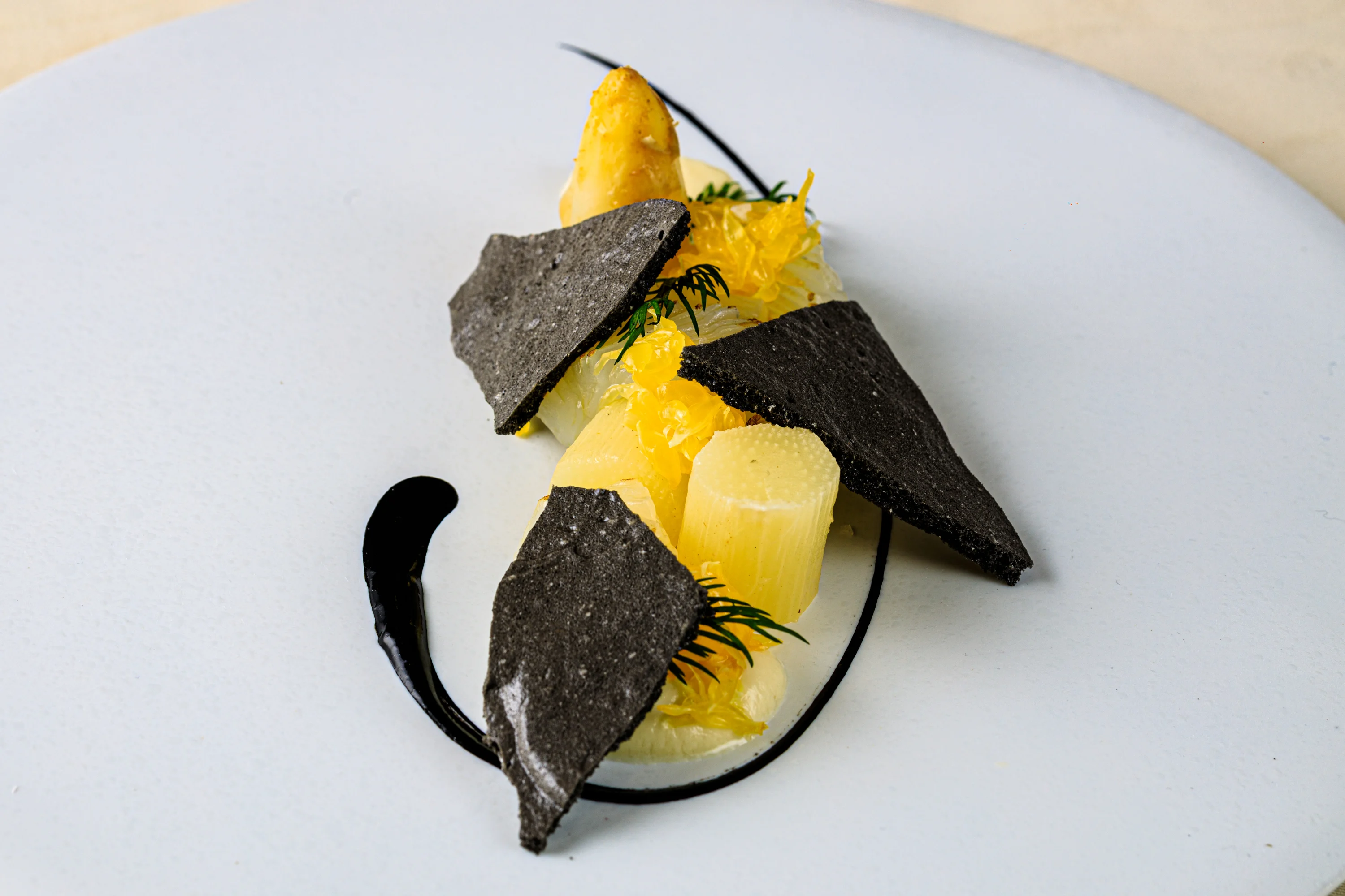 Two modern plated courses with dark shards and colorful garnishes.