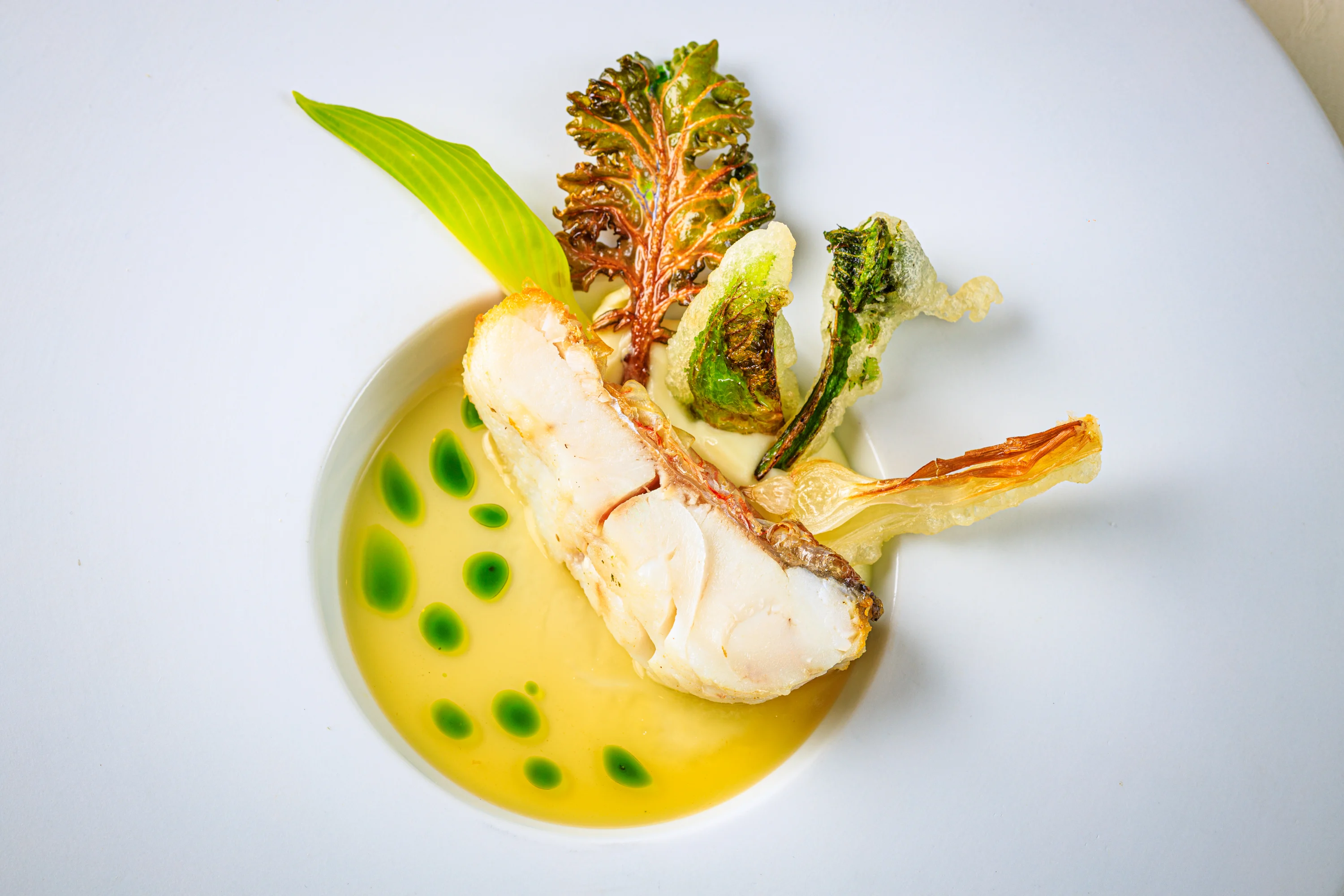 A refined fish course with green sauce and crisp vegetables.