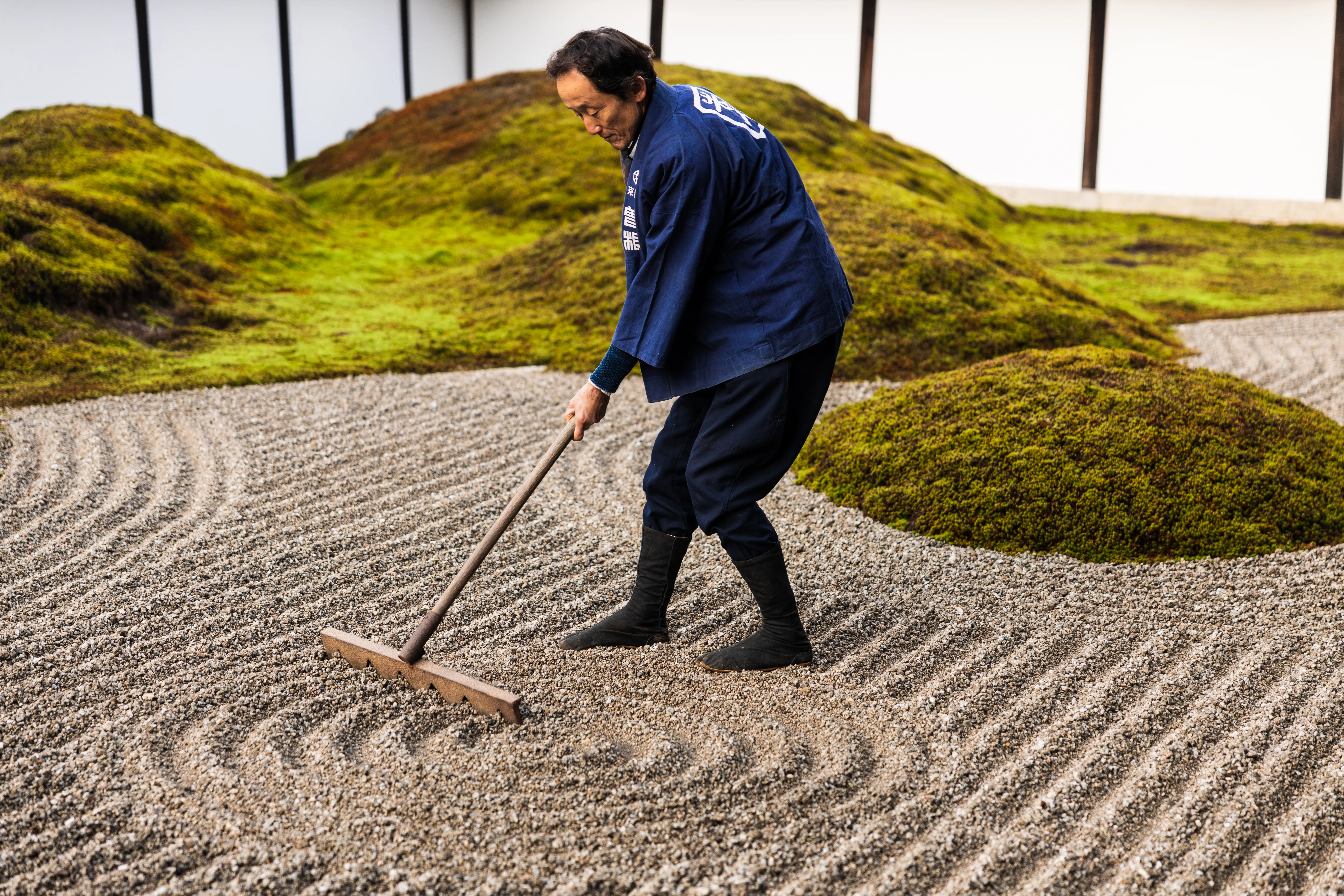 A gardener carefully raking a moss-covered Japanese garden.
